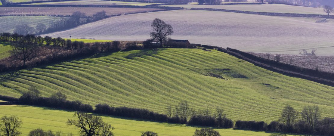 AdobeStock_205192470