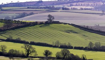 AdobeStock_205192470