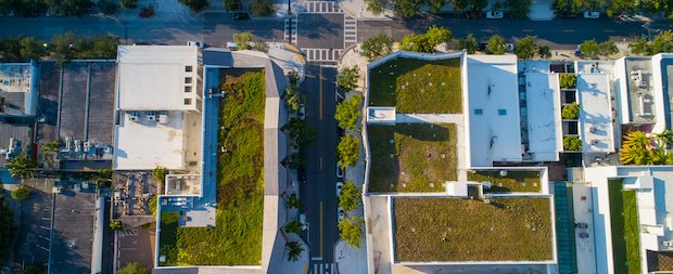 Rooftop gardent net zero carbon impact