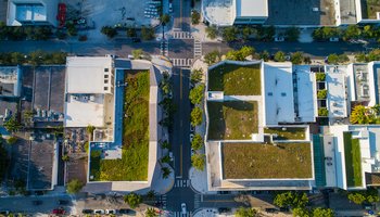Rooftop gardent net zero carbon impact