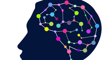 Brain