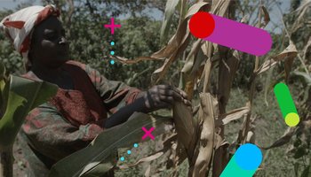 Enabling data access to transform agriculture in South Asia and sub-Saharan Africa