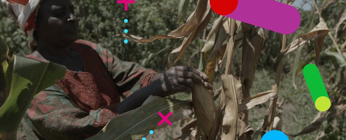 Enabling data access to transform agriculture in South Asia and sub-Saharan Africa
