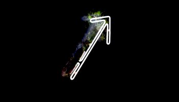 arrow-neon-warsaw-81145