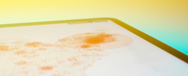 brian-mcgowan-cKe23H16x2M-unsplash
