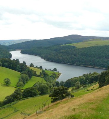 A person walks along a scenic trail beside a flowing river, surrounded by lush greenery and natural beauty.