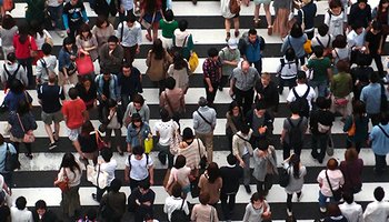 crowd