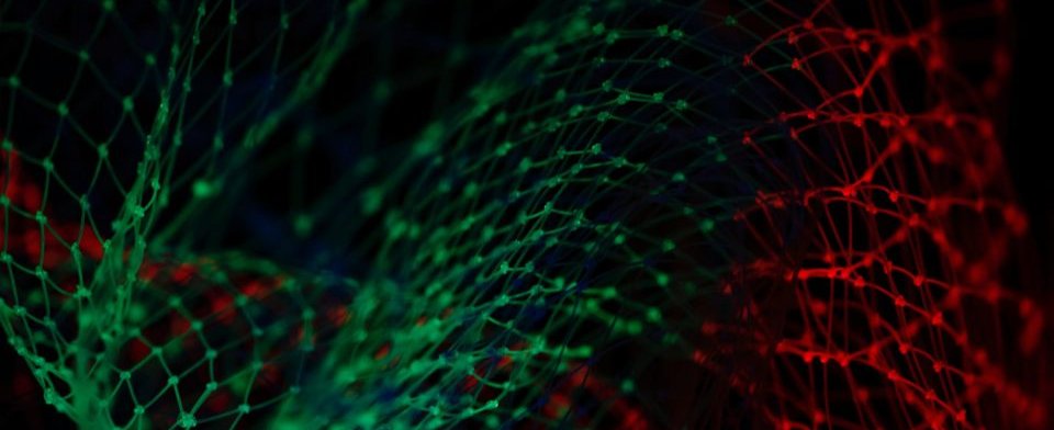 pietro-jeng-n6B49lTx7NM-unsplash