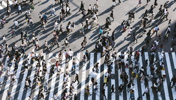 people crossing zebra crossing